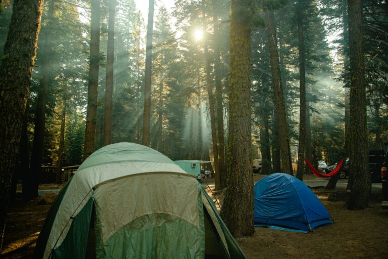 Autumn Forest Basecamp