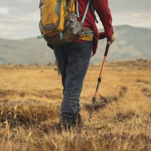 Trekking in the Mountains