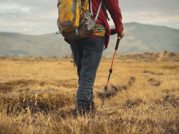 Trekking in the Mountains