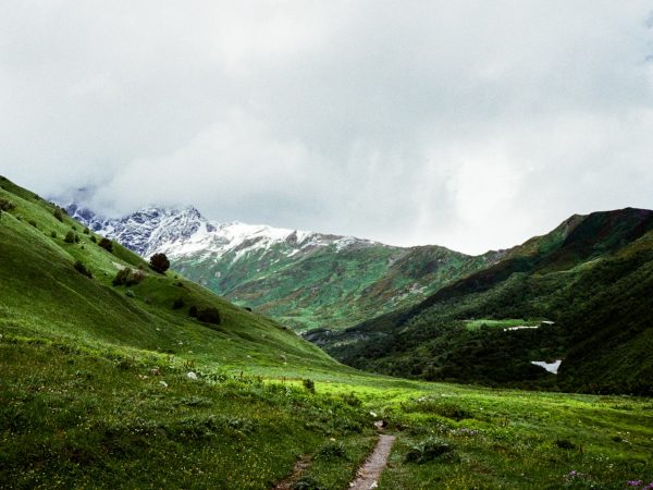 Hiker in a Green Valley
