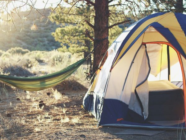 Wooden Outdoor Setup